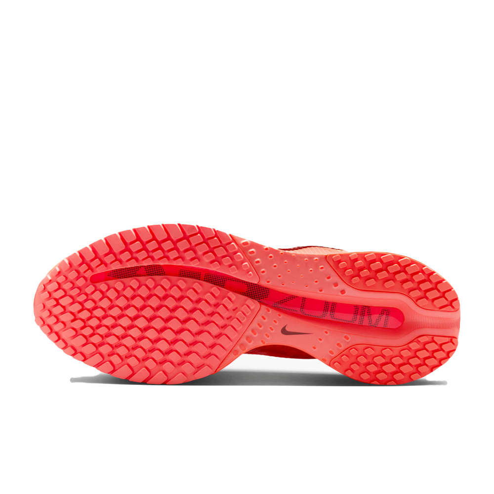 Nike Pegasus Premium (W)